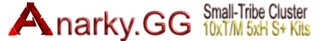 ANARKY.GG - PvP CLUSTER  - [VALG] Banner