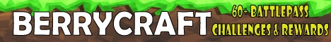 BERRYCRAFT Banner