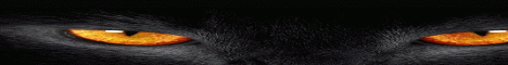 Mystic Kittens Banner