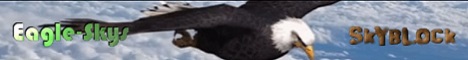 Eagle Skys Banner