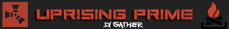Uprising Gone Wild Server - 100x Banner