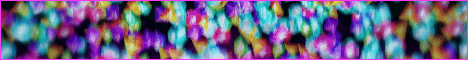 Soloris Banner