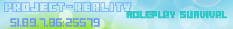 Project Reality Banner