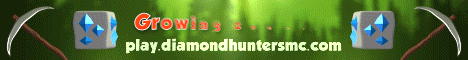 Diamond Hunters Banner