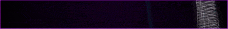 BeardedGamers.com PVE 10xAll Main (Islan Banner