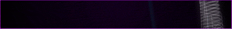 BG PVP EU Island 25xAll 3Man/ORP/KITS Banner