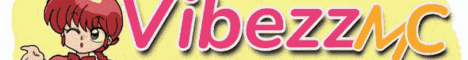 VibezzMC Banner