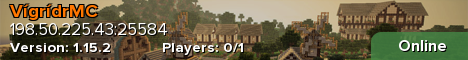 VigridrMC Banner
