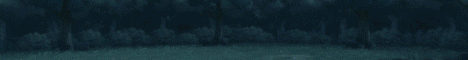 BCRAFT NARUTO Banner