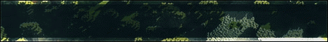 DireWolvz Banner