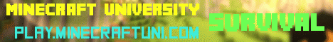 Minecraft University Banner